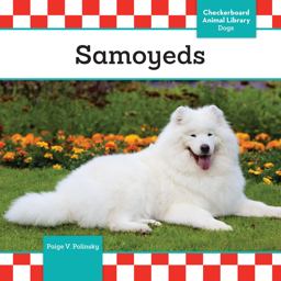 Samoyeds Samoyeds