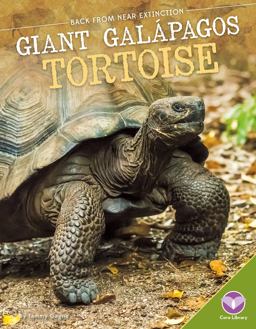 Giant Galápagos Tortoise