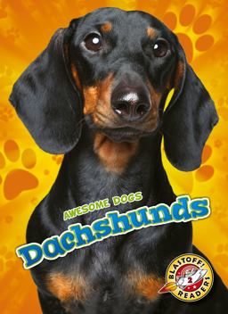 Dachshunds