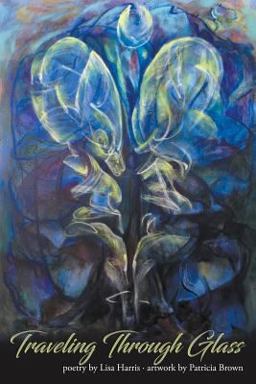 Traveling Through Glass