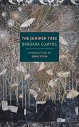 Juniper Tree  9781681371313 Front Cover