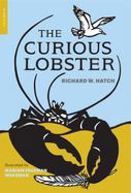 Curious Lobster  9781681372884 Front Cover