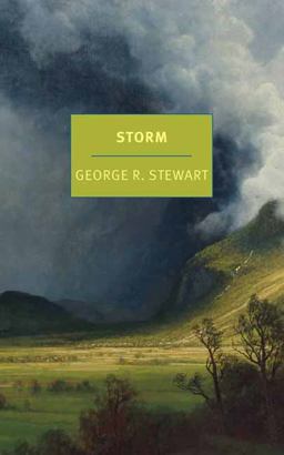 Storm  9781681375182 Front Cover