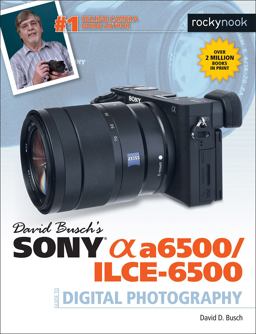 David Busch's Sony Alpha A6500/ILCE-6500 Guide to Digital Photography  9781681982502 Front Cover