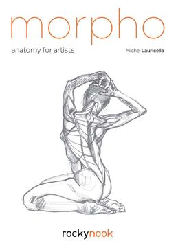 Morpho Anatomy for Artists  9781681983745 Front Cover