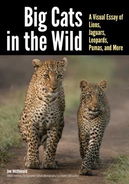 Big Cats in the Wild A Visual Essay of Lions, Jaguars, Leopards, Pumas, and More  9781682033241 Front Cover