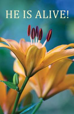 He Is Alive (Pack Of 25)