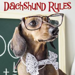 Dachshund Rules:  9781682347744 Front Cover
