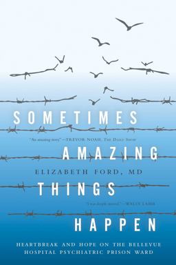 Sometimes Amazing Things Happen Heartbreak and Hope on the Bellevue Hospital Psychiatric Prison Ward  9781682451229 Front Cover