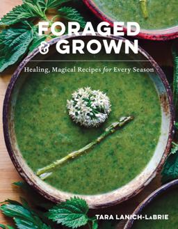 Foraged and Grown Healing, Magical Recipes for Every Season  9781682688328 Front Cover