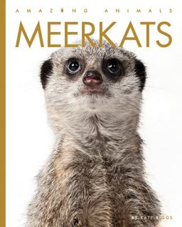 Meerkats