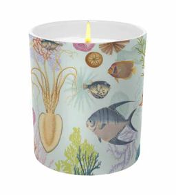 Art of Nature--Under the Sea Scented Candle Art of Nature--Under the Sea Scented Candle