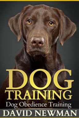 Dog Training