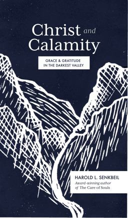 Christ and Calamity Grace and Gratitude in the Darkest Valley  9781683594437 Front Cover
