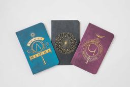 Harry Potter: Spells Pocket Notebook Collection (Set Of 3)