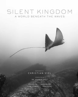 Silent Kingdom A World Beneath the Waves  9781683835844 Front Cover