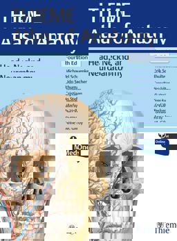 Head, Neck, and Neuroanatomy (THIEME Atlas of Anatomy)