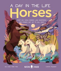 Horses (a Day in the Life)
