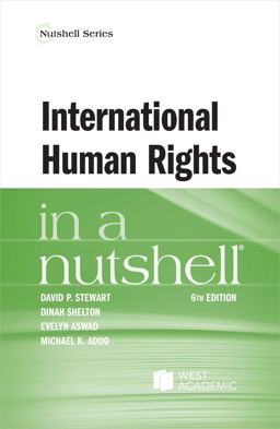 International Human Rights in a Nutshell