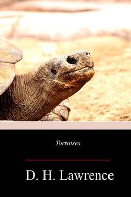 Tortoises