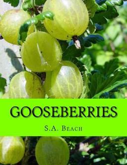 Gooseberries