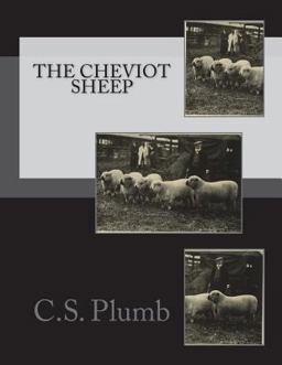 The Cheviot Sheep