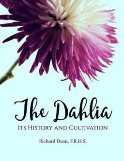 The Dahlia