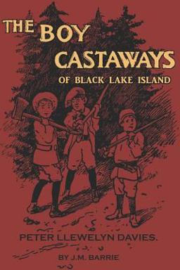 The Boy Castaways of Black Lake Island