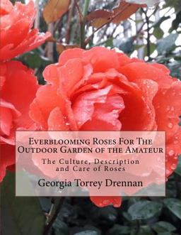 Everblooming Roses for the Outdoor Garden of the Amateur