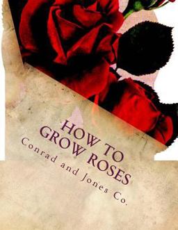 How to Grow Roses
