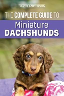 The Complete Guide to Miniature Dachshunds