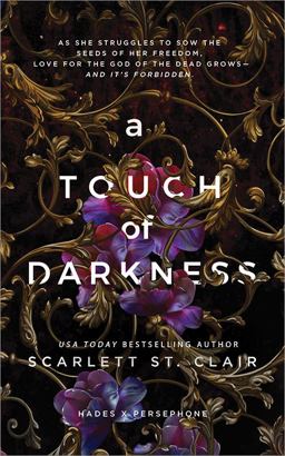 Touch of Darkness  9781728258454 Front Cover