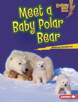 Meet a Baby Polar Bear Meet a Baby Polar Bear