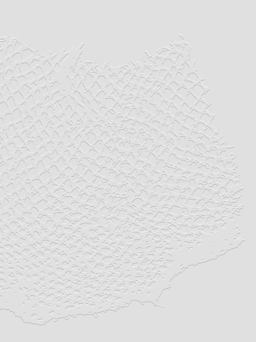 We Collect Together in a Net