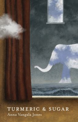 Turmeric &amp; Sugar Stories  9781734515879 Front Cover