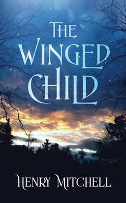 Winged Child 1st 9781735392639 Front Cover