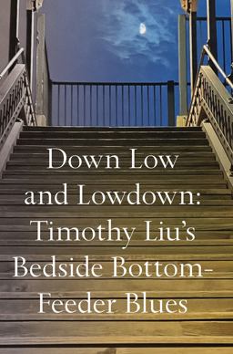Down Low and Low down: Bottom Feeder Blues  9781736607572 Front Cover