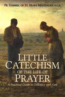 Little Catechism of the Life of Prayer 11th 9781737123002 Front Cover