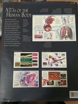 Illustrated Atlas of the Human Body  9781740896481 Front Cover