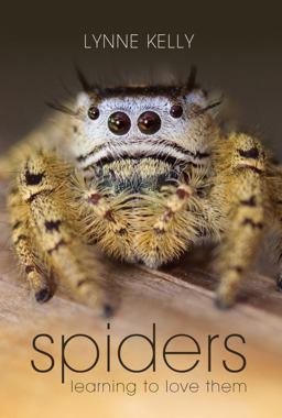 Spiders Learning to Love Them  9781741751796 Front Cover