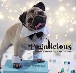 Pugalicious Pug with a Passion for Food and Naps  9781742579269 Front Cover