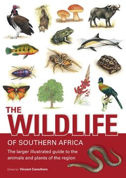 Wildlife of Southern Africa The Larger Illustrated Guide to the Animals and Plants of the Region  9781770071995 Front Cover