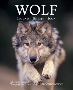 Wolf Legend, Enemy, Icon 2nd 9781770855595 Front Cover