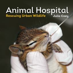 Animal Hospital Rescuing Urban Wildlife  9781770855717 Front Cover