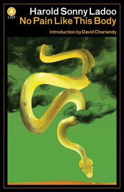 No Pain Like This Body  9781770893740 Front Cover