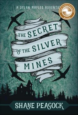 The Secret of the Silver Mines
