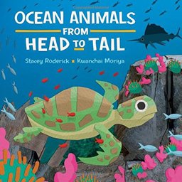 Ocean Animals from Head to Tail  9781771383455 Front Cover