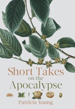 Short Takes on the Apocalypse Short Takes on the Apocalypse