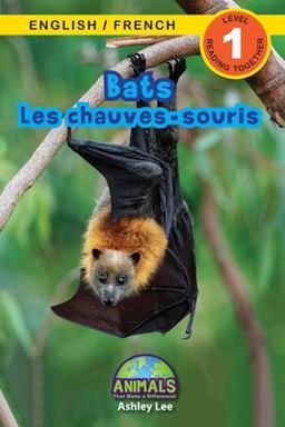 Bats / les Chauves-Souris