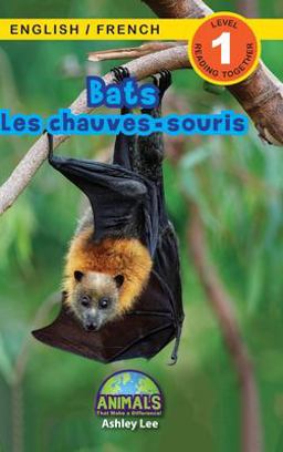 Bats / les Chauves-Souris